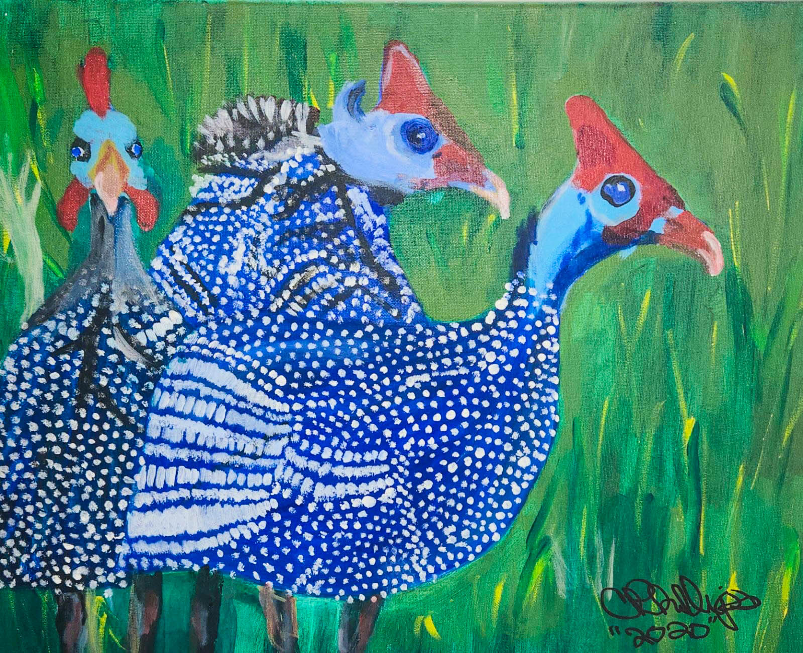 Guinea Fowl